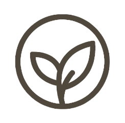 Icon of a plant with two leaves inside a circle on a white background - Dwcnhome