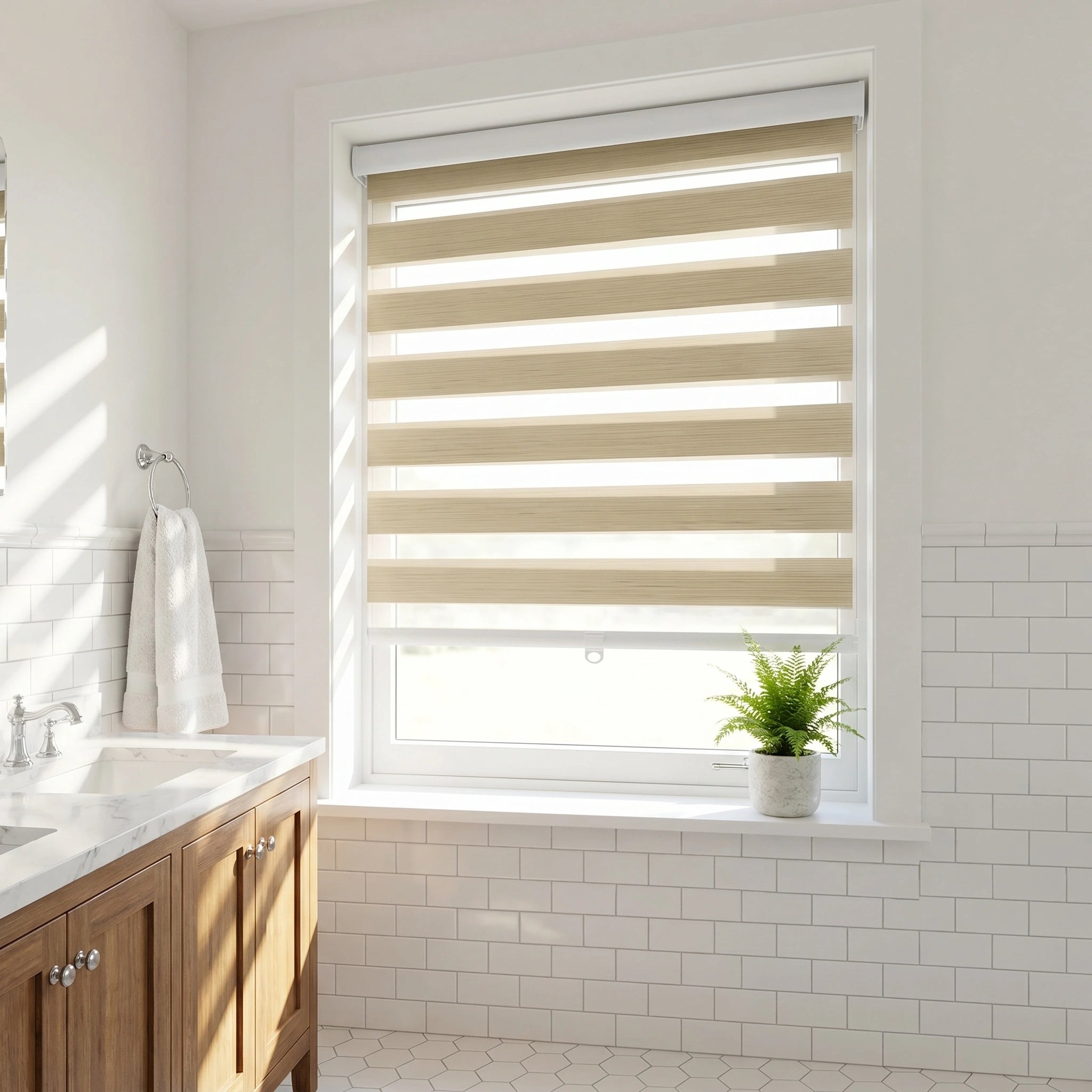 Paola Blackout Zebra Shade Cordless